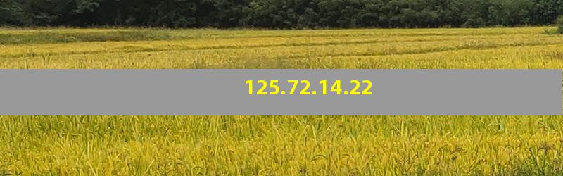 125.72.14.22