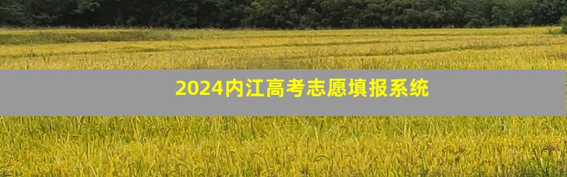 2024内江高考志愿填报系统