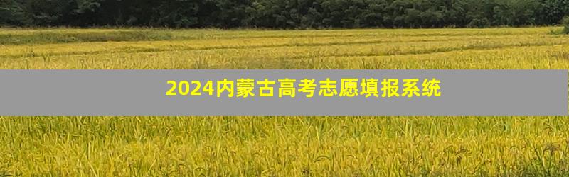 2024内蒙古高考志愿填报系统