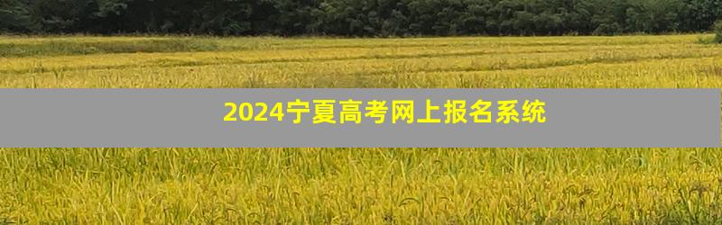 2024宁夏高考网上报名系统