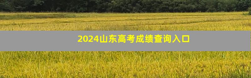 2024山东高考成绩查询入口