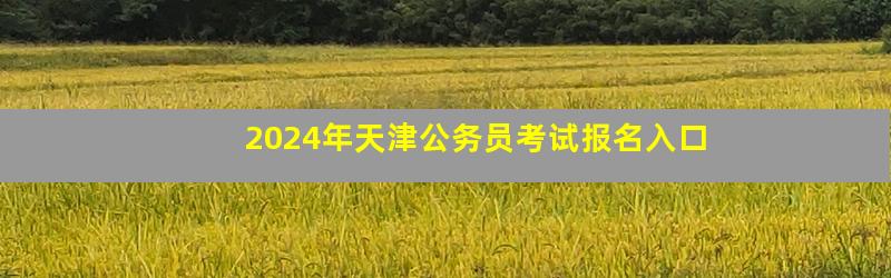 2024年天津公务员考试报名入口