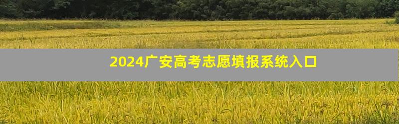 2024广安高考志愿填报系统入口