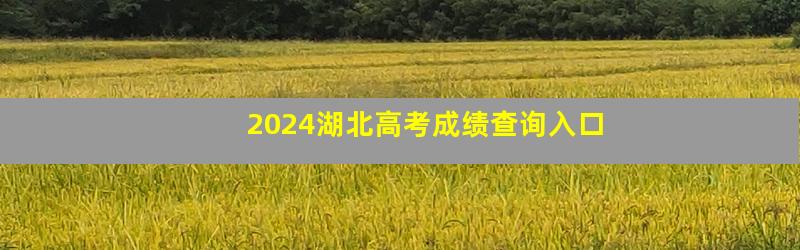 2024湖北高考成绩查询入口