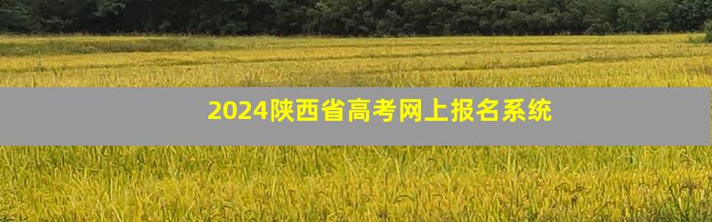2024陕西省高考网上报名系统