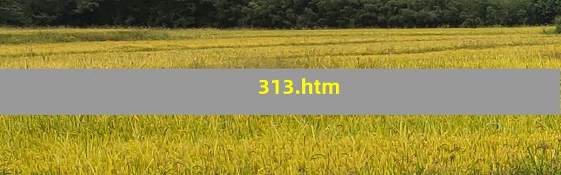 313.htm
