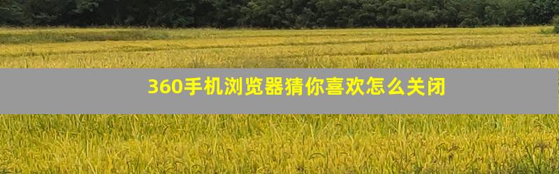 360手机浏览器猜你喜欢怎么关闭