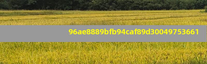 96ae8889bfb94caf89d30049753661b5