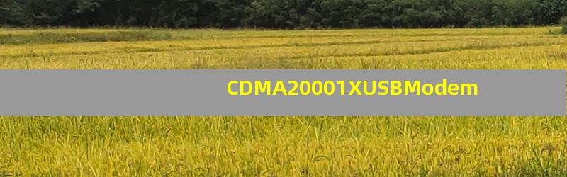 CDMA20001XUSBModem