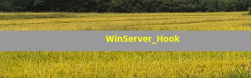 WinServer_Hook