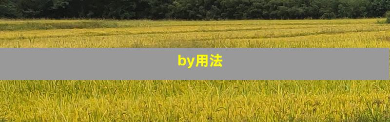 by用法
