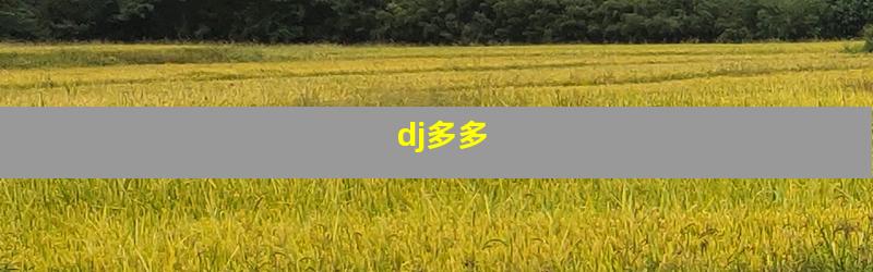 dj多多