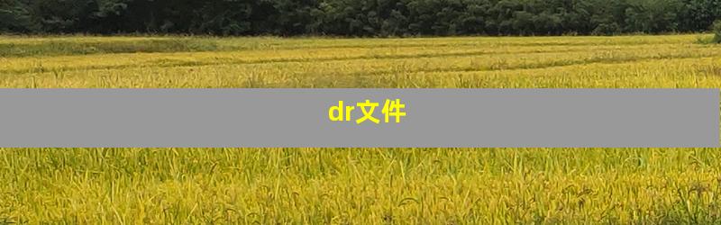 dr文件