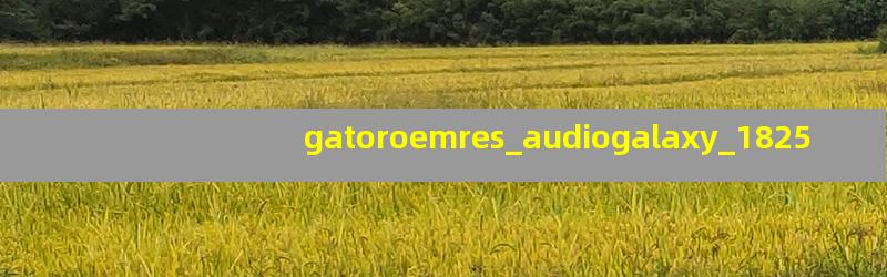 gatoroemres_audiogalaxy_1825