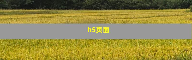 h5页面