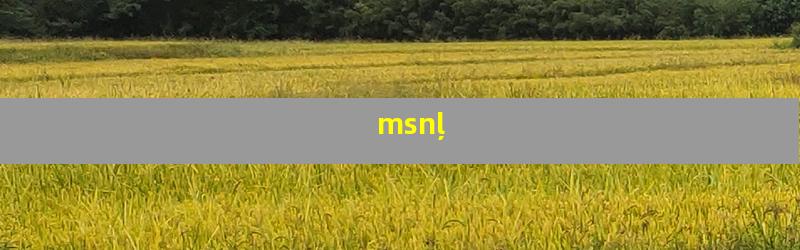 msnļ