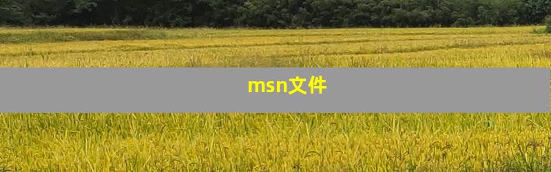 msn文件