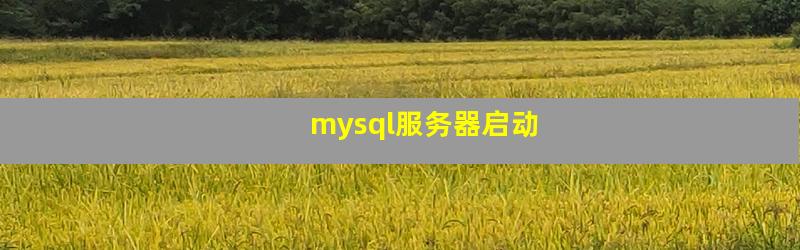 mysql服务器启动
