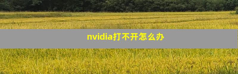 nvidia打不开怎么办