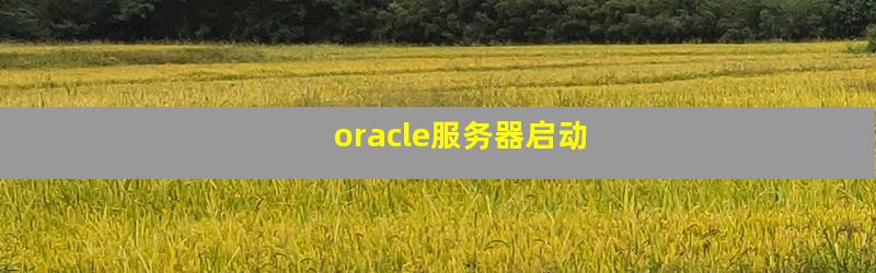 oracle服务器启动