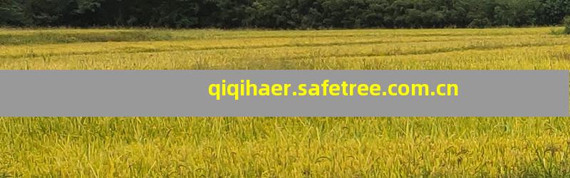 qiqihaer.safetree.com.cn