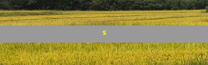 s