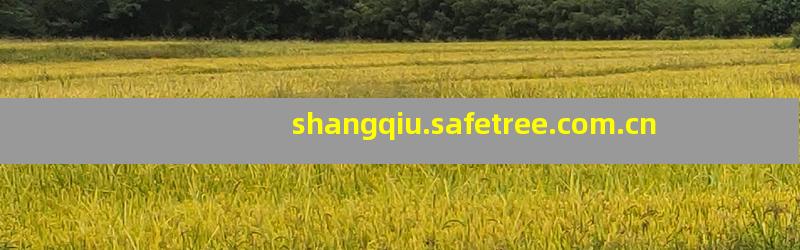 shangqiu.safetree.com.cn