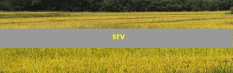 srv