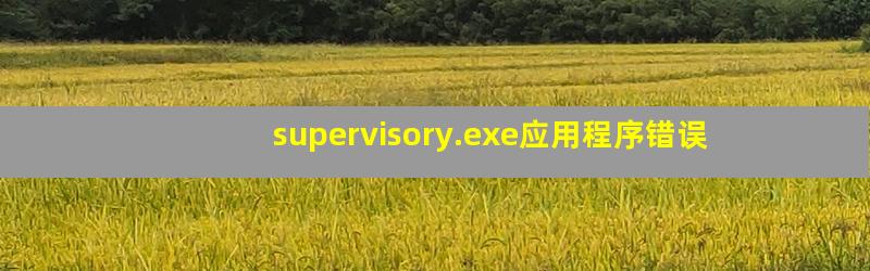 supervisory.exe应用程序错误