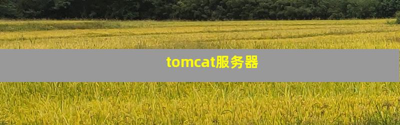 tomcat服务器
