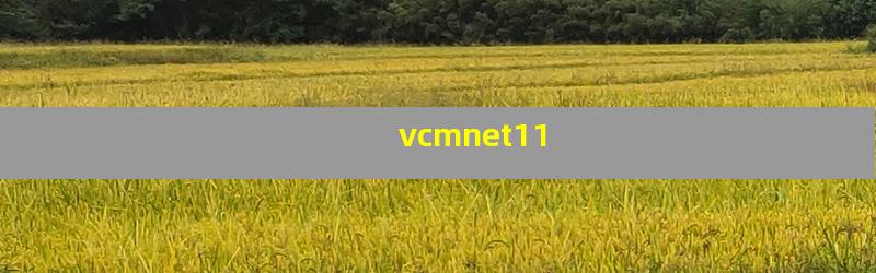 vcmnet11