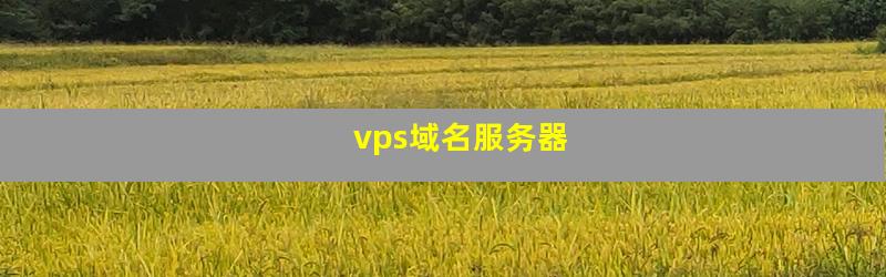 vps域名服务器