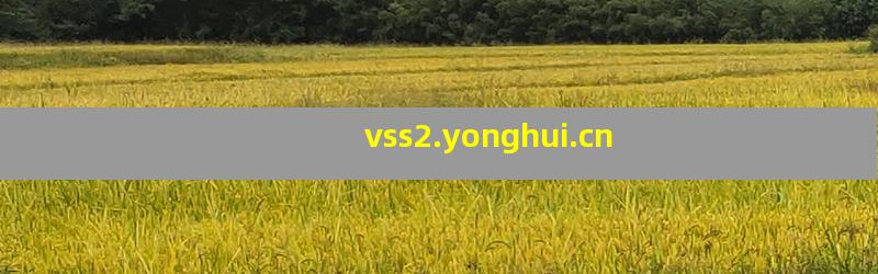 vss2.yonghui.cn
