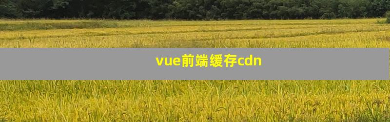 vue前端缓存cdn