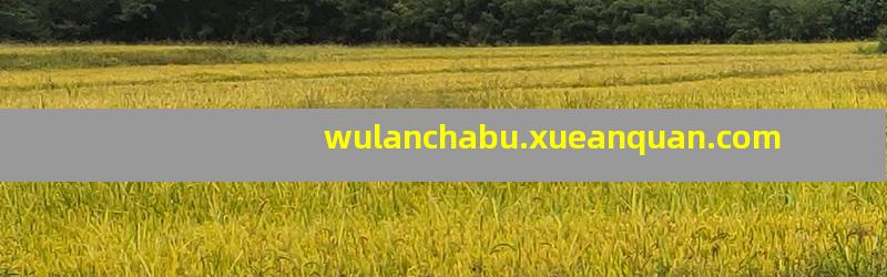 wulanchabu.xueanquan.com