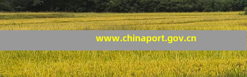 www.chinaport.gov.cn