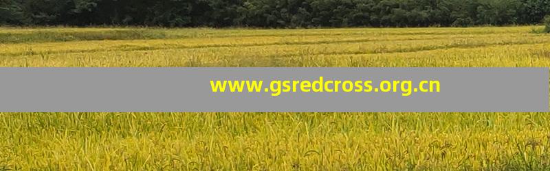 www.gsredcross.org.cn