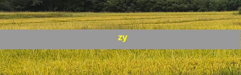 zy