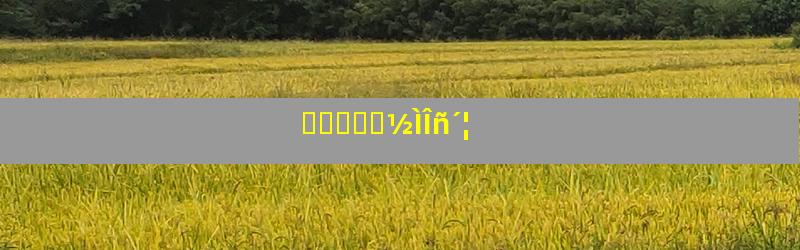̩ɽҽѧԺ½ÌÎñ´¦