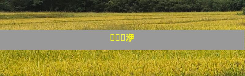 ֲʽƴ洢
