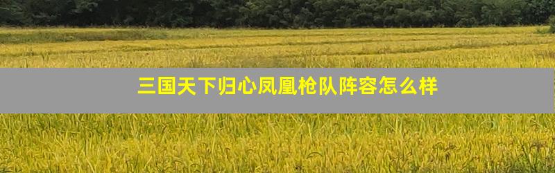 三国天下归心凤凰枪队阵容怎么样