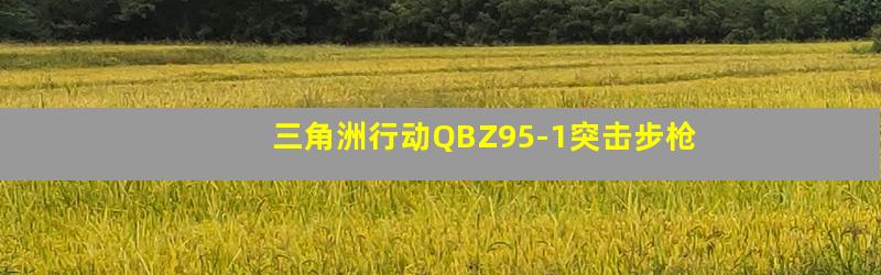 三角洲行动QBZ95-1突击步枪