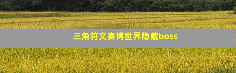 三角符文赛博世界隐藏boss