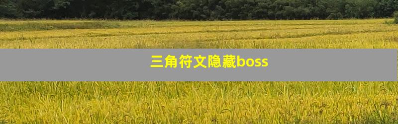 三角符文隐藏boss