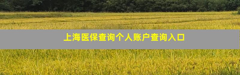 上海医保查询个人账户查询入口