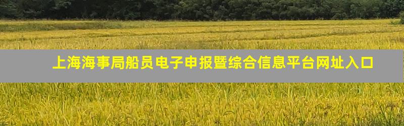 上海海事局船员电子申报暨综合信息平台网址入口