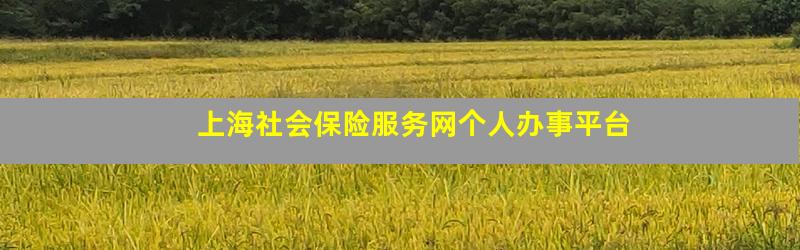 上海社会保险服务网个人办事平台