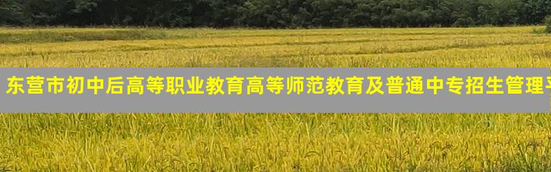 东营市初中后高等职业教育高等师范教育及普通中专招生管理平台