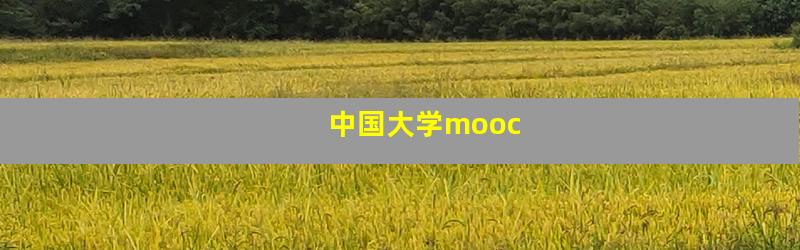 中国大学mooc