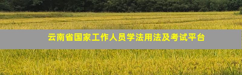 云南省国家工作人员学法用法及考试平台
